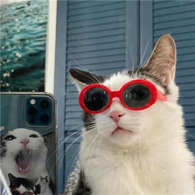 Santi Rahayu avatar